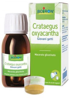 CRATAEGUS 60ML TM BO