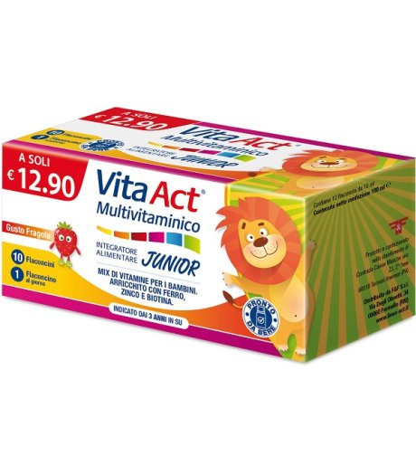 VITA ACT MULTIVITAMINICO J 10F