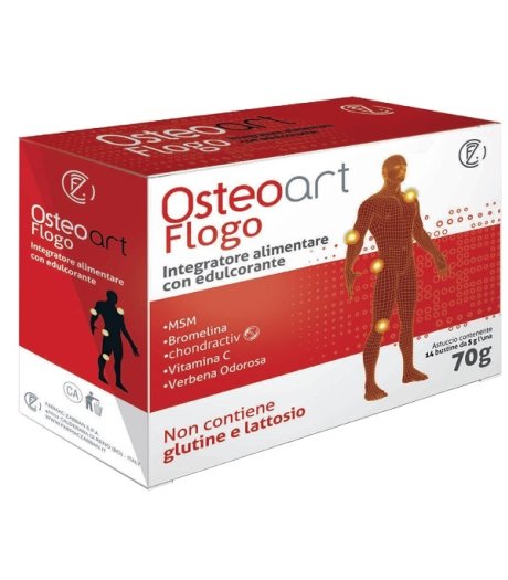 OSTEOART FLOGO 14BUST