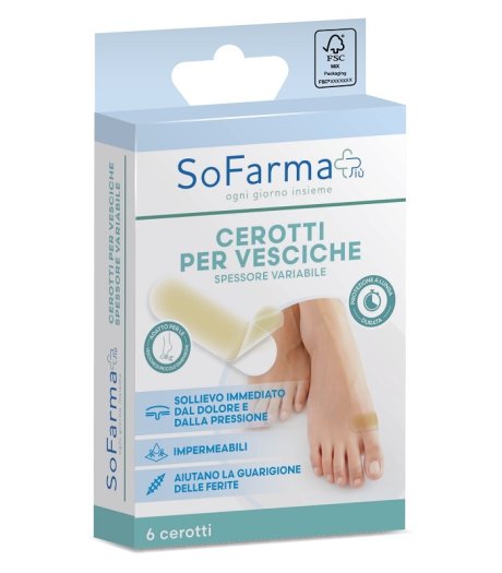 CEROTTO VESCICA PICCOLO 6PZ SF+