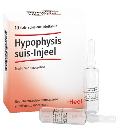HYPOPHYSIS SUIS INJEEL HEEL