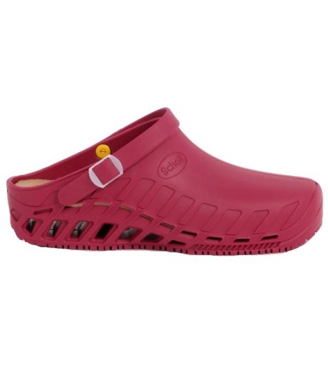 CLOG Evo Wine 36/37