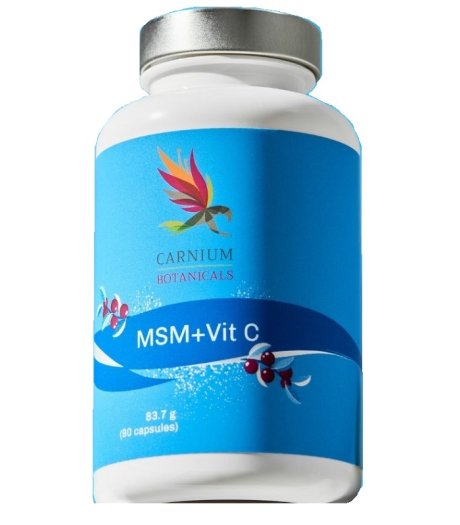 CARNIUM BOT MSM+VIT C 90 Cps