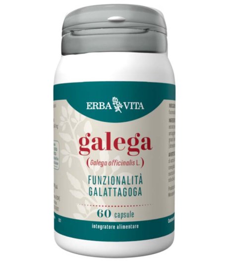 GALEGA 60CPS EBV