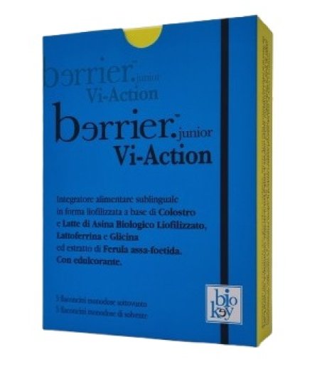 BERRIER VI ACTION JUNIOR 5+5FL