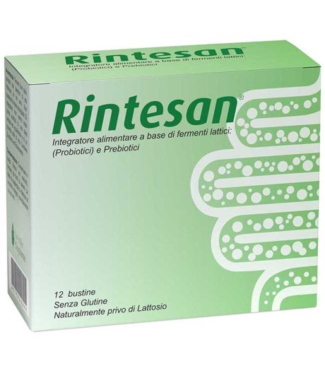 Rintesan 12bust
