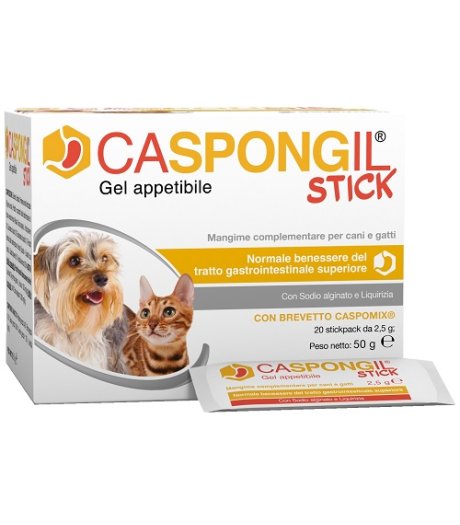CASPONGIL STICK 20Stick Pack