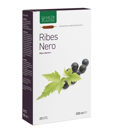 RIBES NERO BIO 20AB 15ML