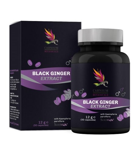 CARNIUM BOT BLACK GINGER 30CPS CARNIUM BOT BLACK GINGER 30CPS