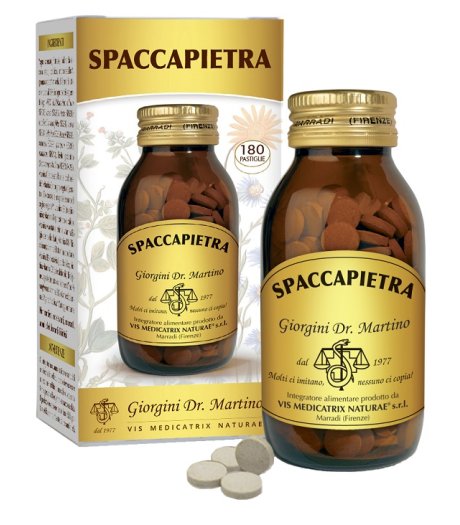 SPACCAPIETRA 180 Past.500mgSVS