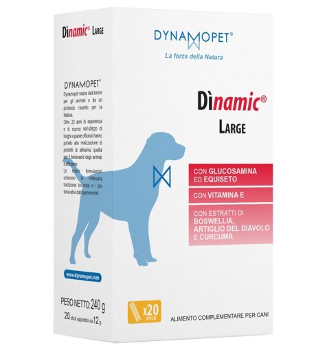 DINAMIC LARGE 20 Stick 12g