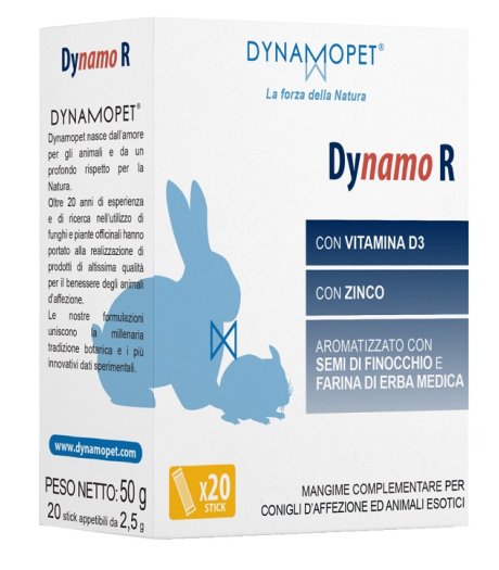 DYNAMO R 20STICK 2 5G DYNAMO R 20STICK 2 5G