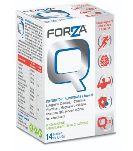 FORZA Q 14 Bust.