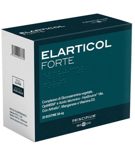 PRINCIPIUM Elarticol Fte20Bust PRINCIPIUM Elarticol Fte20Bust