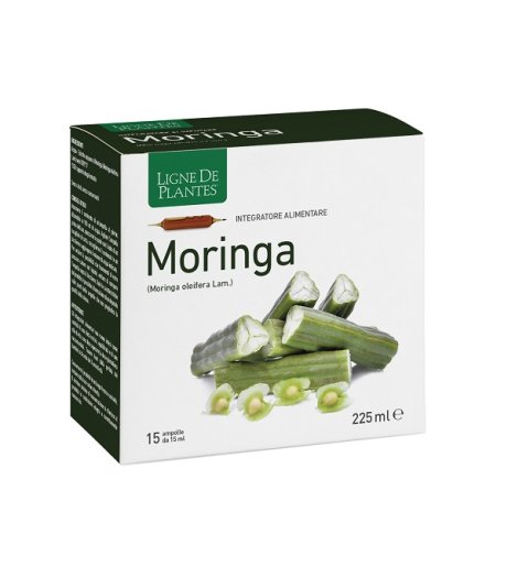 MORINGA 15AB 15ML MORINGA 15AB 15ML