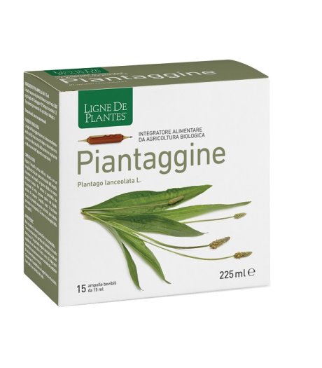 PIANTAGGINE 15AMP 15ML NATURA