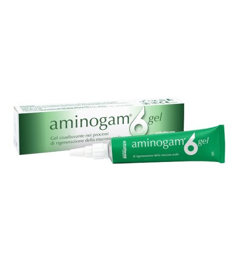 AMINOGAM 6 GEL