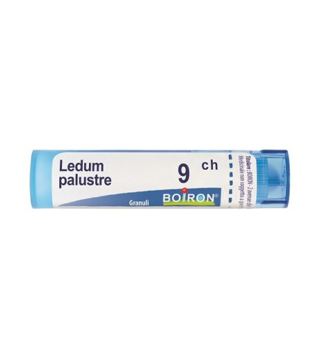 LEDUM PALUSTRE 9CH GR BO LEDUM PALUSTRE 9CH GR BO
