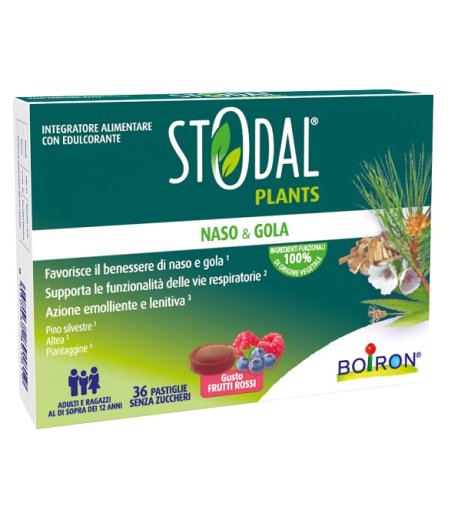 STODAL Plants 36 Past.Fr.Rossi