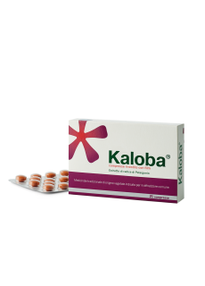 Kaloba*21cpr Riv