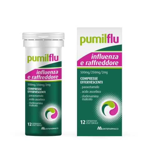LEVIOFLU INFLUENZA E R*12CPR LEVIOFLU INFLUENZA E R*12CPR